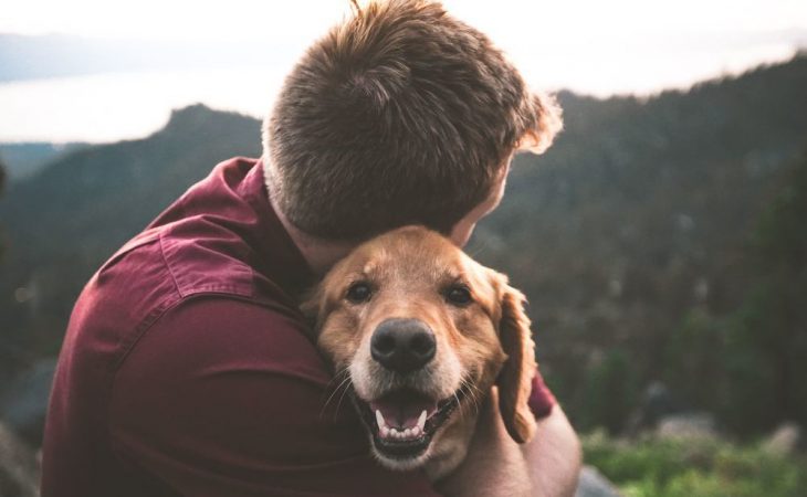 Hvordan nyte øl og whisky med din firbente venn Image
